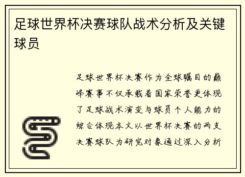 足球世界杯决赛球队战术分析及关键球员